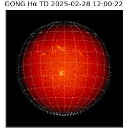gong - 2025-02-28T12:00:22