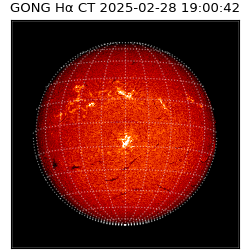 gong - 2025-02-28T19:00:42