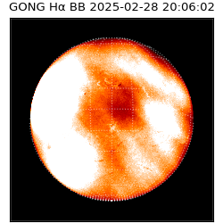 gong - 2025-02-28T20:06:02
