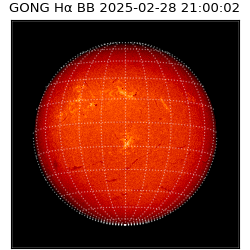 gong - 2025-02-28T21:00:02
