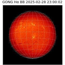 gong - 2025-02-28T23:00:02