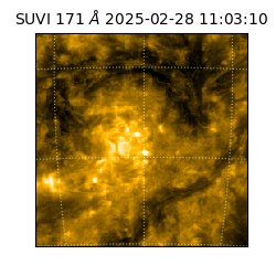 suvi - 2025-02-28T11:03:10.631000