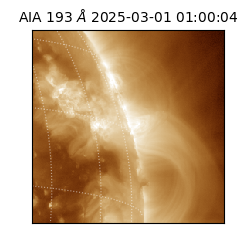 saia - 2025-03-01T01:00:04.843000