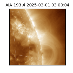 saia - 2025-03-01T03:00:04.843000