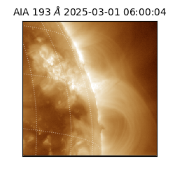 saia - 2025-03-01T06:00:04.836000