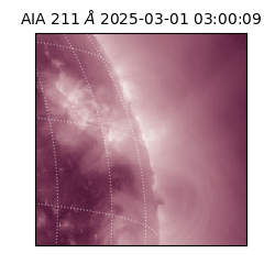 saia - 2025-03-01T03:00:09.626000