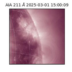 saia - 2025-03-01T15:00:09.626000