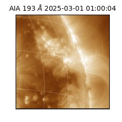 saia - 2025-03-01T01:00:04.843000