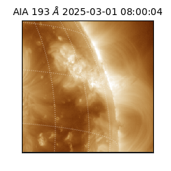 saia - 2025-03-01T08:00:04.843000