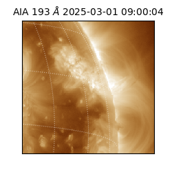 saia - 2025-03-01T09:00:04.843000