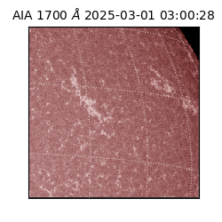 saia - 2025-03-01T03:00:28.717000