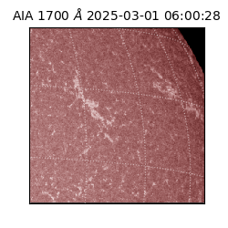 saia - 2025-03-01T06:00:28.717000
