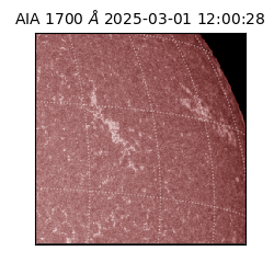 saia - 2025-03-01T12:00:28.717000