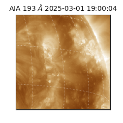 saia - 2025-03-01T19:00:04.843000