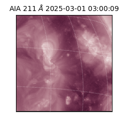 saia - 2025-03-01T03:00:09.626000