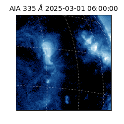 saia - 2025-03-01T06:00:00.622000
