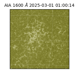 saia - 2025-03-01T01:00:14.129000