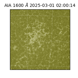 saia - 2025-03-01T02:00:14.126000