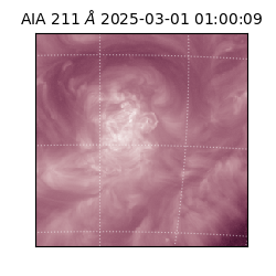 saia - 2025-03-01T01:00:09.639000