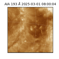 saia - 2025-03-01T08:00:04.843000