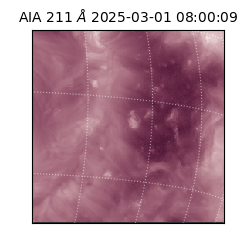 saia - 2025-03-01T08:00:09.626000