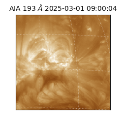 saia - 2025-03-01T09:00:04.843000