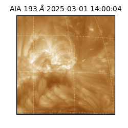 saia - 2025-03-01T14:00:04.843000