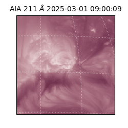 saia - 2025-03-01T09:00:09.627000