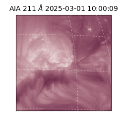 saia - 2025-03-01T10:00:09.630000