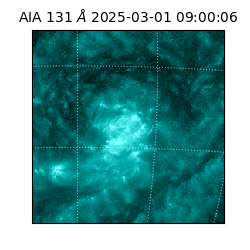 saia - 2025-03-01T09:00:06.622000