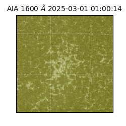 saia - 2025-03-01T01:00:14.129000