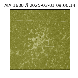 saia - 2025-03-01T09:00:14.126000