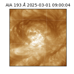 saia - 2025-03-01T09:00:04.843000
