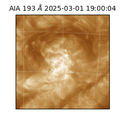 saia - 2025-03-01T19:00:04.843000