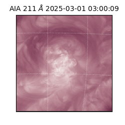 saia - 2025-03-01T03:00:09.626000
