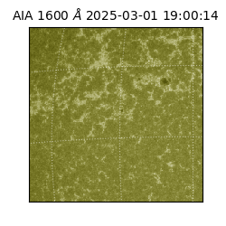 saia - 2025-03-01T19:00:14.126000