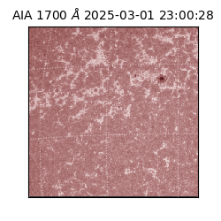 saia - 2025-03-01T23:00:28.717000