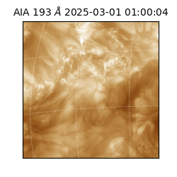saia - 2025-03-01T01:00:04.843000