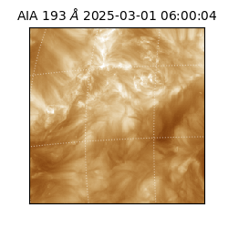 saia - 2025-03-01T06:00:04.836000