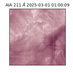 saia - 2025-03-01T01:00:09.639000