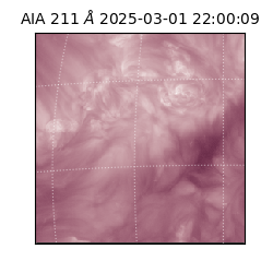 saia - 2025-03-01T22:00:09.619000