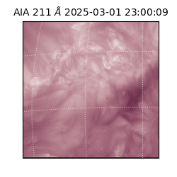 saia - 2025-03-01T23:00:09.621000