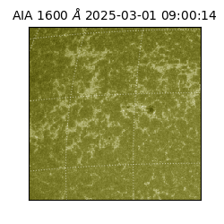 saia - 2025-03-01T09:00:14.126000