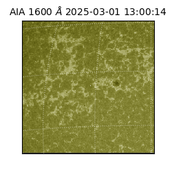 saia - 2025-03-01T13:00:14.126000