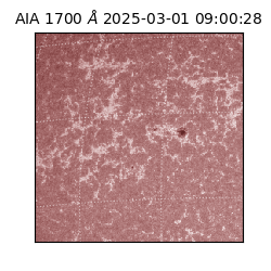 saia - 2025-03-01T09:00:28.717000