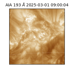 saia - 2025-03-01T09:00:04.843000