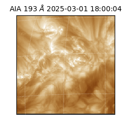 saia - 2025-03-01T18:00:04.843000