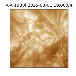 saia - 2025-03-01T19:00:04.843000