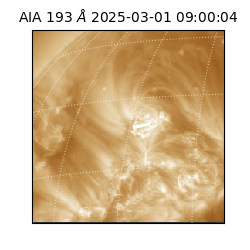 saia - 2025-03-01T09:00:04.843000