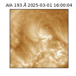 saia - 2025-03-01T16:00:04.843000
